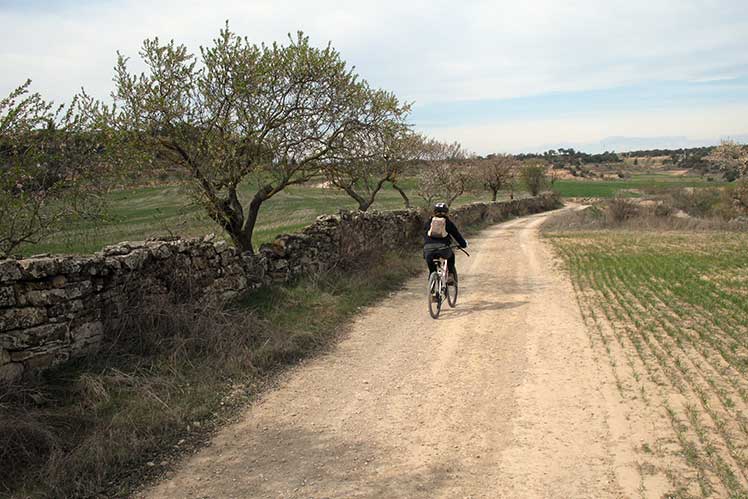 En bici por el camino