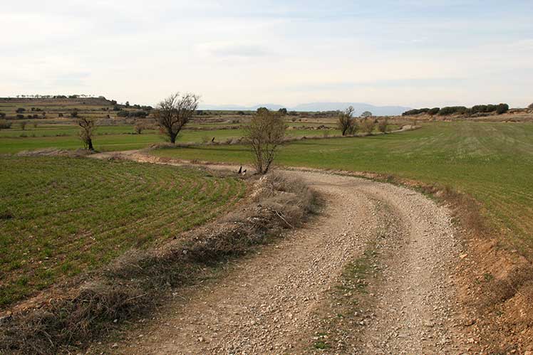 Camino llano en paisaje de secano