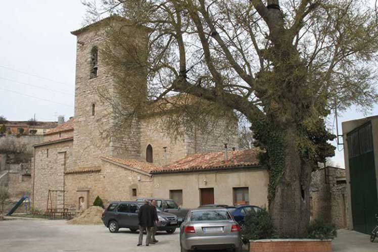 Lledoner de Castellnou d'Oluges