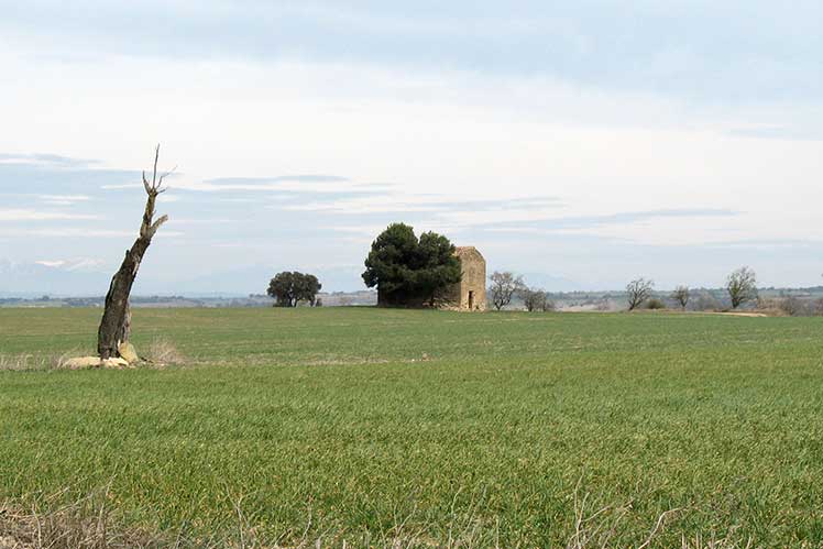 Llanura de la Segarra