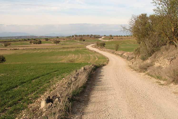 De Hostafrancs a l'Aranyó