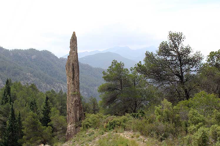 Agulla del Frare de la Vall