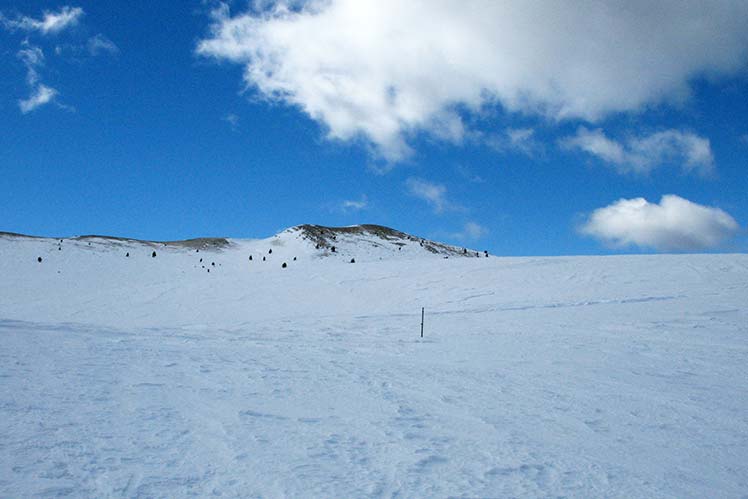 Paisaje nevado