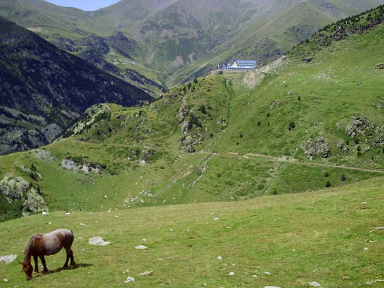 Camino del albergue al coll de Torreneules