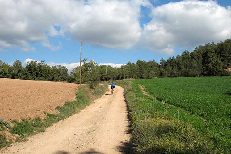 Camí