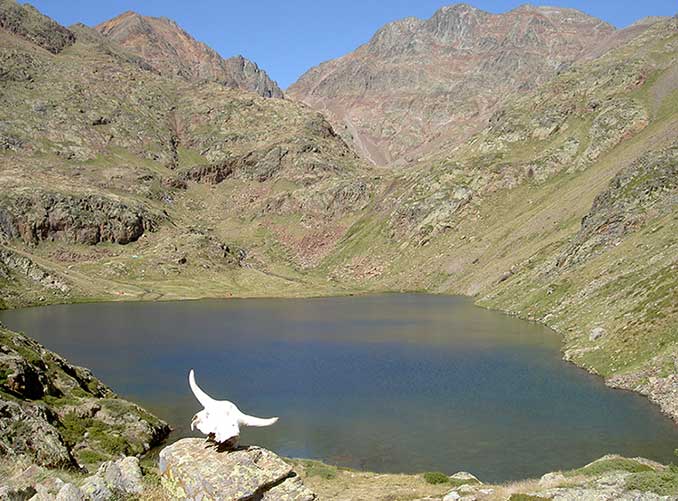 Estany de Sotllo y la Pica d'Estats