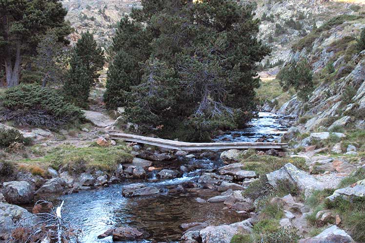 Puente sobre el torrente