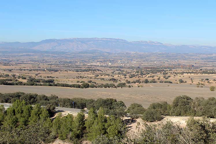 Vista d'Agramunt des del pilar