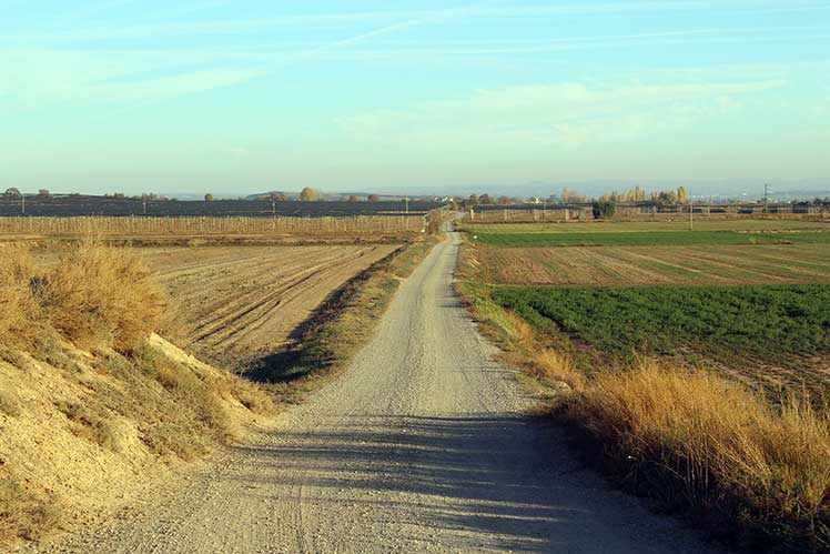 Camí de Catellserà a la Guàrdia