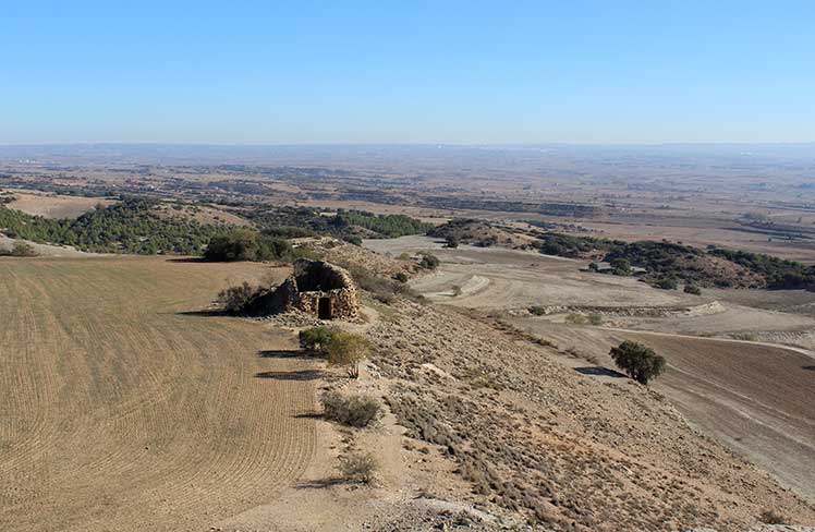 Vista del Pla d'Urgell