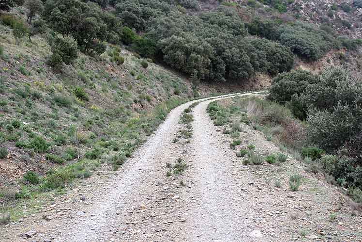 Camino de bajada