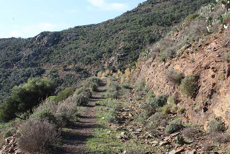 Camino hacia el Coll de la Farella