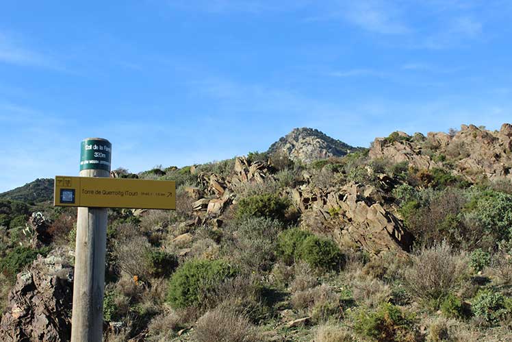 Indicador en el Coll de la Farella