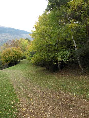 Camí de baixada