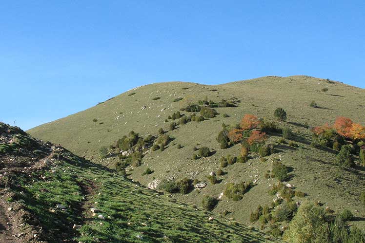 Camí al Taga