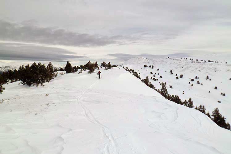 Camí de pujada