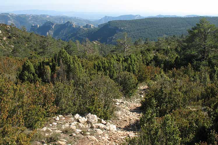 Camí de baixada