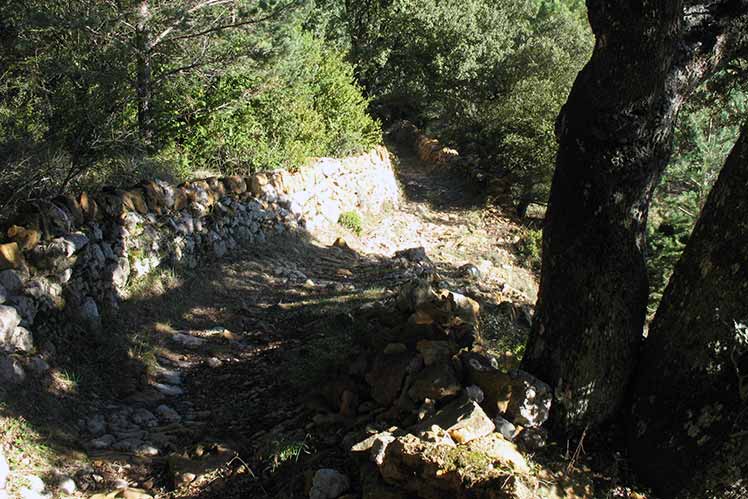 Camí amb mur de pedra seca