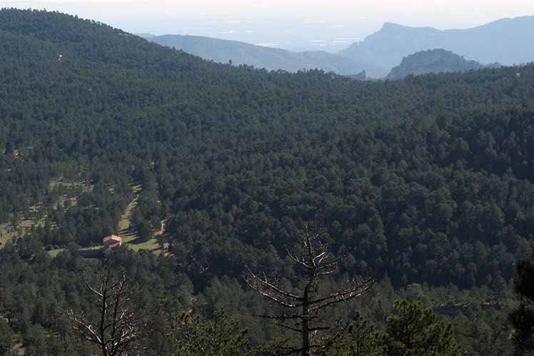 Vista a llevant des del Tossal del Rei