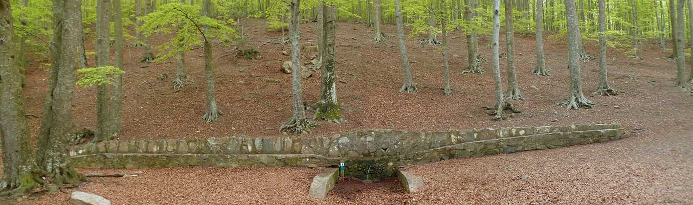 Panoràmica de la Font de Passavets